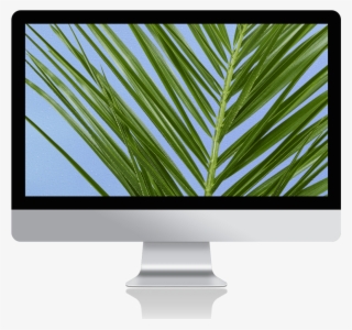 Thanks To Wavy, Attract New Clients In Your Hair Salon - Computer Monitor #9367600