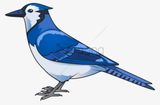 Free Png Blue Jay Transparent Png Image With Transparent - Blue Bird Png #9368361