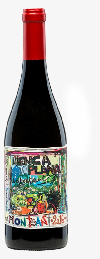 Terra De Falanis Llenca Plana Montsant - Glass Bottle #9369040