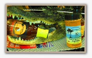 Award Winning Caribbean Cowboy Barbeque Sauce Is A - San Miguel Pale Pilsen #9369998