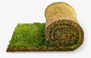 Grama Png - Sod Png #9370538