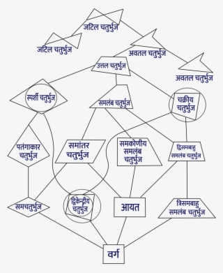 Quadrilateral Hierarchy Hi Png - Diagram #9372292