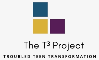 The Troubled Teen Transformation Project - Flag #9372620