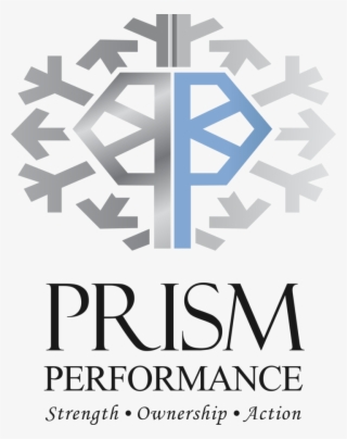 Prism Performance Prism Performance - Romo Fabrics Logo #9373499