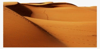 Sahara Desert No Background #9373678