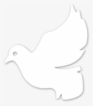 Pigeons And Doves #9373881