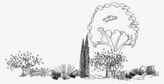 Tree - Sketch #9374007