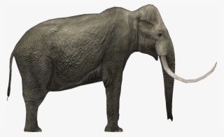 And On Top Of That, Here's A Quick Mesh I Slapped Together #9375235