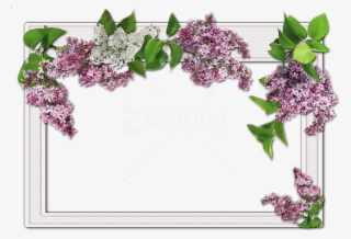 Free Png Best Stock Photos Flowers Frame Background - Wedding Frames For Photoshop #9375844