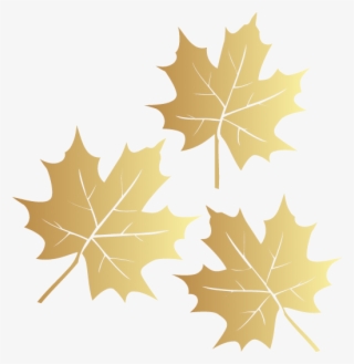 For More Information About Our Services And Upcoming - Maple Leaf #9376027