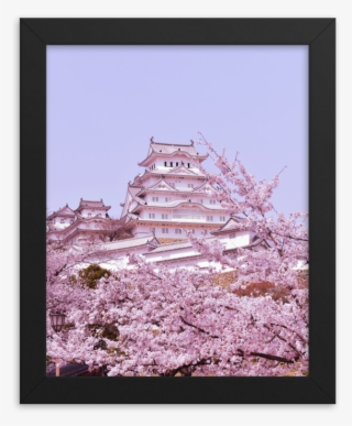 Himeji Castle With Cherry Blossoms - Picture Frame #9376309