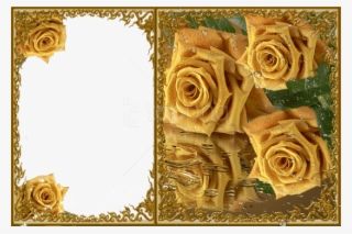 Free Png Best Stock Photos Transparent Yellow Roses - Roses Frame In Png #9377470