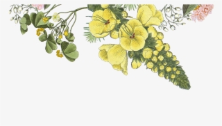 Receiving Flowers Has Been Proven To Increase Happiness, - Wig #9378391