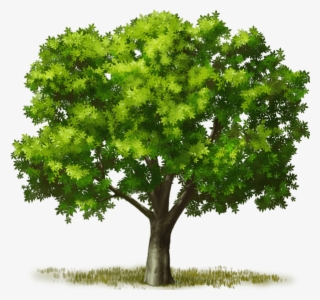 Big Green Giantstable Living Mahogany Pasturestable - Swamp Maple #9378428