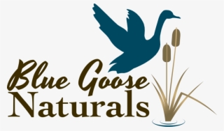 Aloe Pluspng - Com - Justice At Stake #9378651