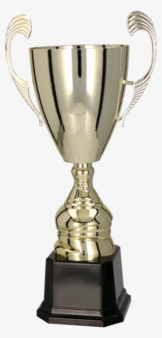 Srebrny Puchar #9378828