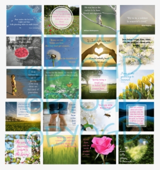 June Social Media Quotes Memes - Flyer #9382285