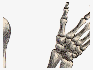 Drawn Hand Gesture Skeleton Hand - Easy Skeleton Arms Drawing #9382321