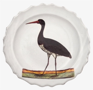 Stork #9383248 Stork #9383248