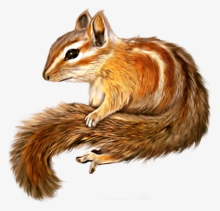 Ftestickers Sticker - Drawn Squirrel Png #9385094