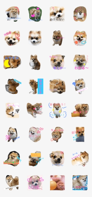 Pomeranian Syaron #9386053