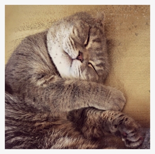 Cute Sticker #9386317 Cute Sticker #9386317