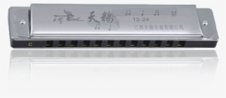 12 Hole 24 Tone C-tune Copper Reed Plate, Stainless - Microcontroller #9387609