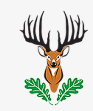 Elk #9387610