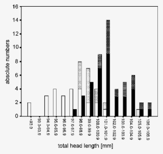 Total Lengths Of Head Measured From The Hind Head To - Diagram #9388060