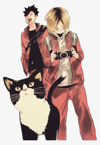 Haikyuu Transparent - Haikyuu Cat #9388502