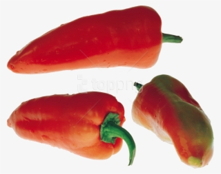 Free Png Download Red Pepper Png Images Background - Peppers #9388553