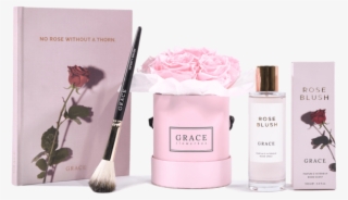 Christmas Candy - Garden Roses #9389864