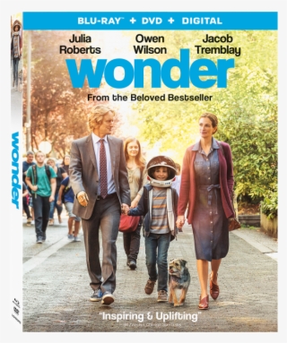 Wonder Home Entertainment - Wonder Dvd Blu Ray #9390042