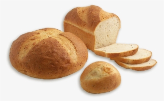 Bun #9390279