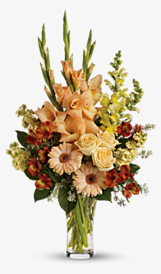 More Views - T266 2a #9390706