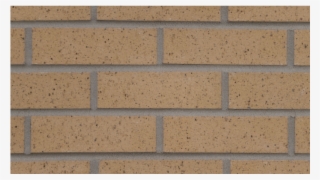 Buffstone Wirecut Oversize - Plank #9390983