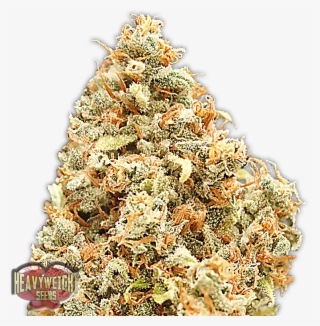 Monster Profit - Heavyweight Monster Profit #9391390