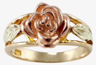 Lilliane's Jewelry - Pre-engagement Ring #9392279