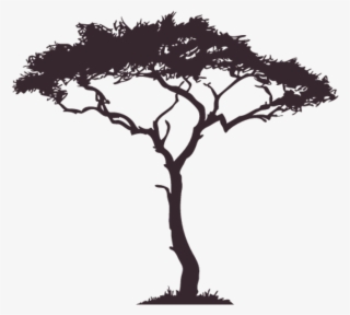 #tree #silhouette #shadow #nightime #surrealism #overlay - African Tree Silhouette Png #9392520 #tree #silhouette #shadow #nightime #surrealism #overlay - African Tree Silhouette Png #9392520