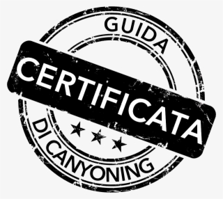 Qualification - Emblem #9394704