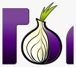 Tor Web Browser - Tor Browser Icon Png #9394732
