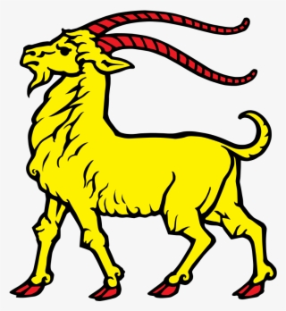 Plus That Is Just A Mean Looking Goat - Istria County #9395139