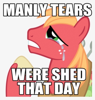 Big Macintosh, Crying, Earth Pony, Image Macro, Male, - Just Got Real Daffy Duck #9395576