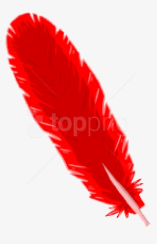 Free Png Download Feather Png Images Background Png - صور ريش احمر #9395718