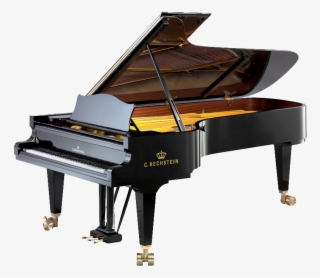 Bechstein D 282 Concert Grand Piano Wins In The Direct #9395891