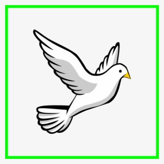 The Best Of Peace - Easy Flying Birds Drawing #9396568