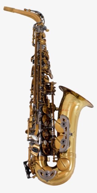 Buy Tgs Origin Series Professional Alto Saxophone At - Clarinet Family #9397592