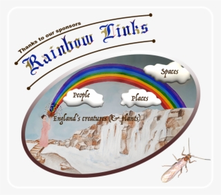 Our Rainbow Links Section Is All About Connectivity - Net-winged Insects #9397885