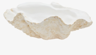 Giant Ceramic Clam Shell - Bathroom Sink #9397935