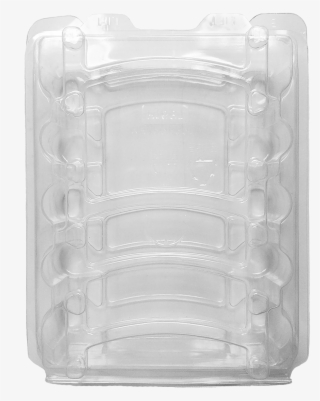 Plastic Esd Clamshell - Plastic Bottle #9398021